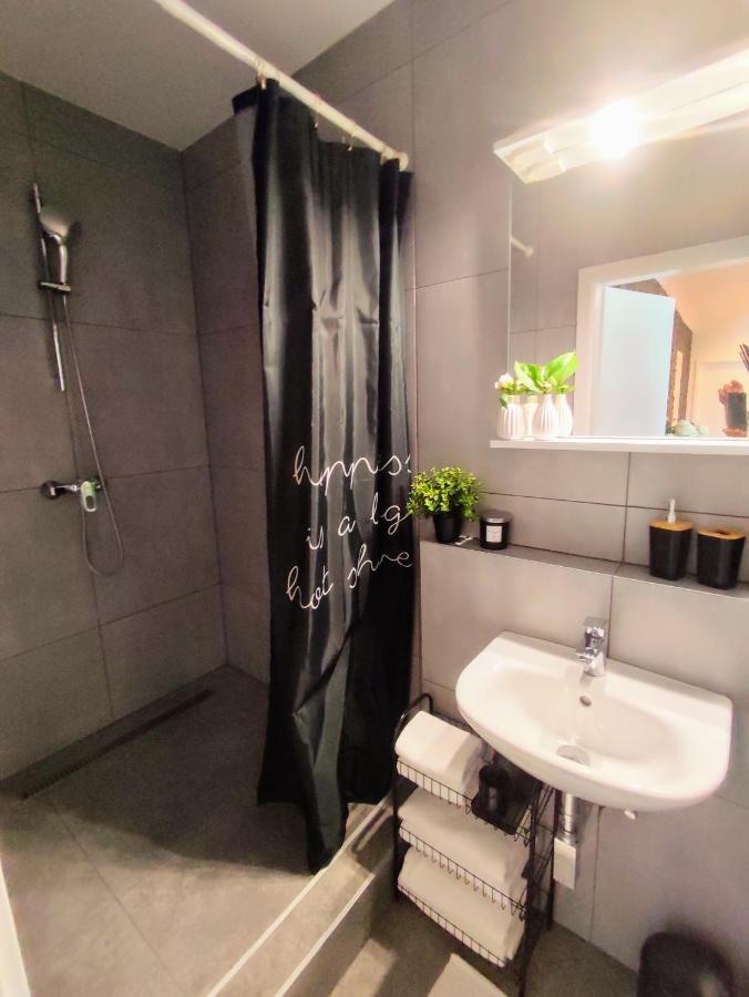 Apartman Panorama Park & Free Parking Жиліна Екстер'єр фото